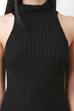 Ribbed Turtleneck Sleeveless Dress