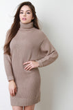 Rib Knit Turtleneck Dolman Sleeve Dress